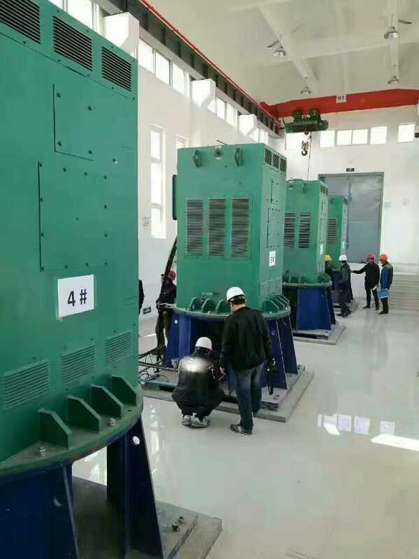 鄢陵某污水处理厂使用我厂的立式高压电机安装现场