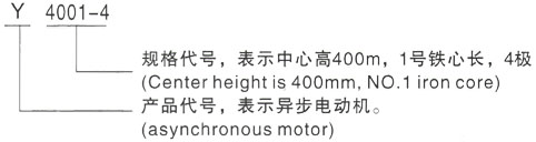 西安泰富西玛Y系列(H355-1000)高压鄢陵三相异步电机型号说明